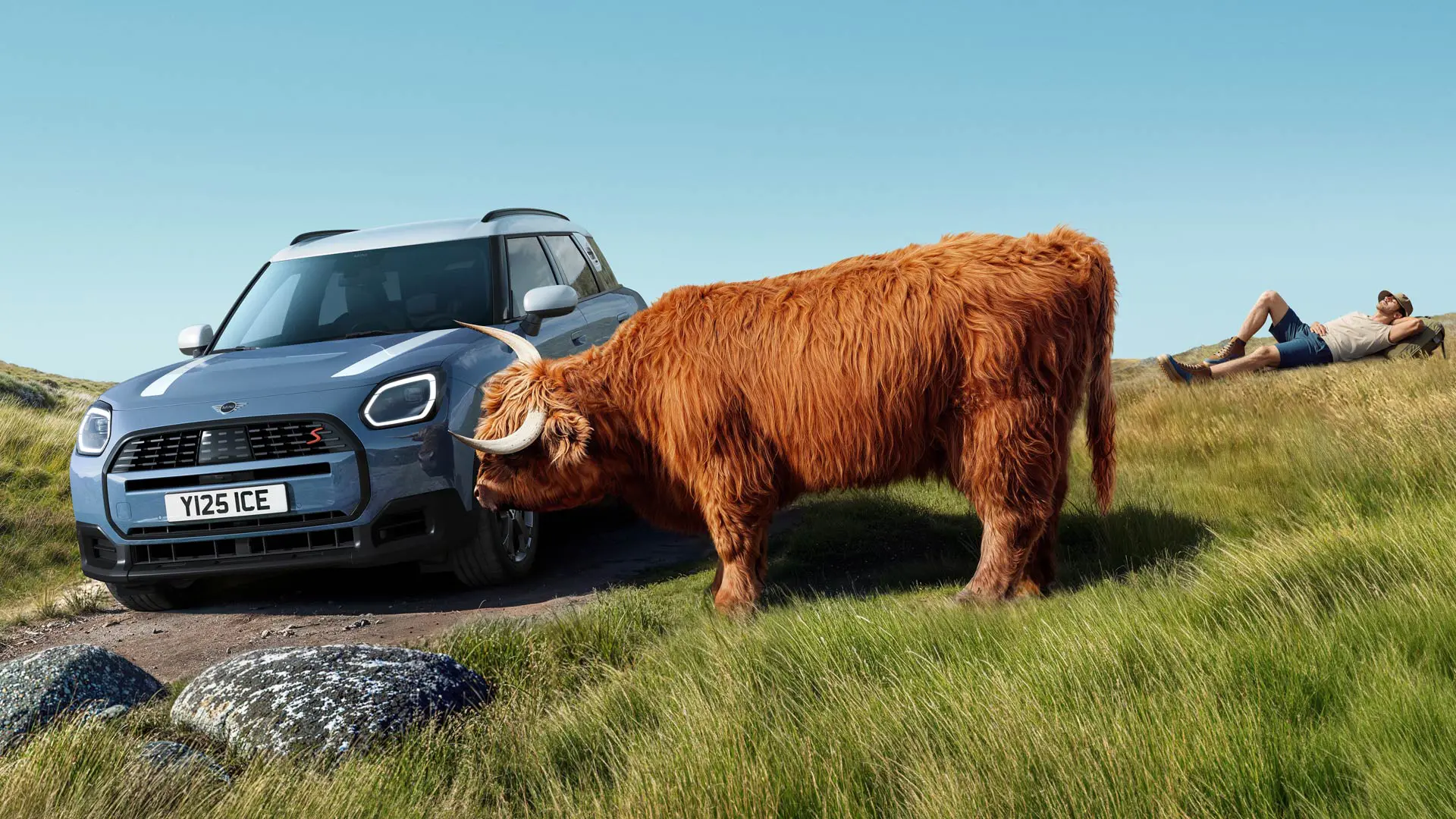 MINI Service with Proactive Care – man relaxing on a hill near his MINI Countryman S ALL4 with a Highland Bull for company.