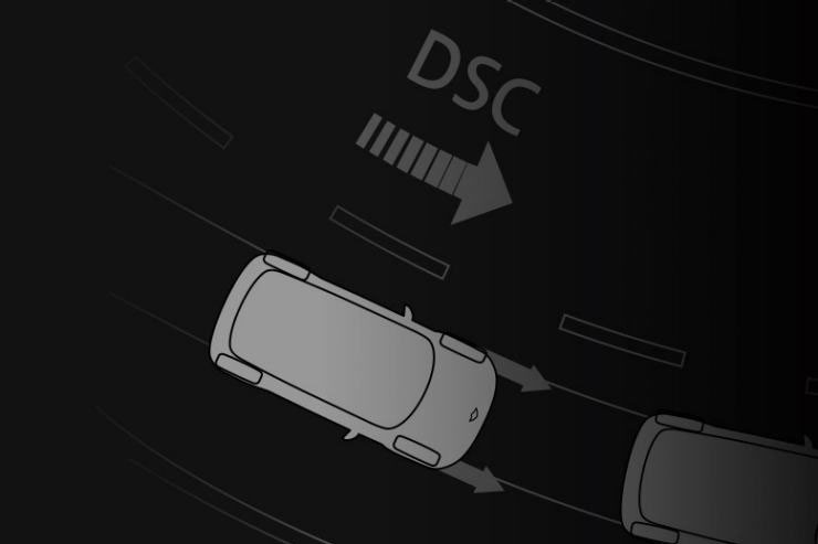 Dynamic Stability Control