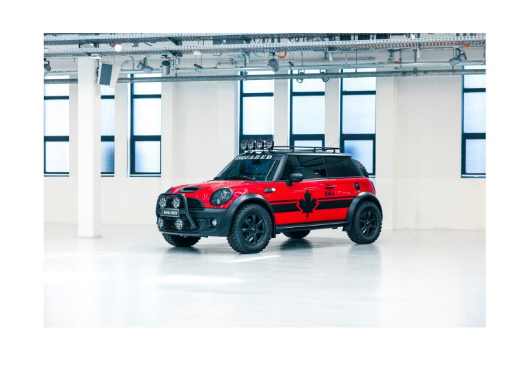 Фото эмблемы и приборной панели Mini 1000 Mr. Bean.